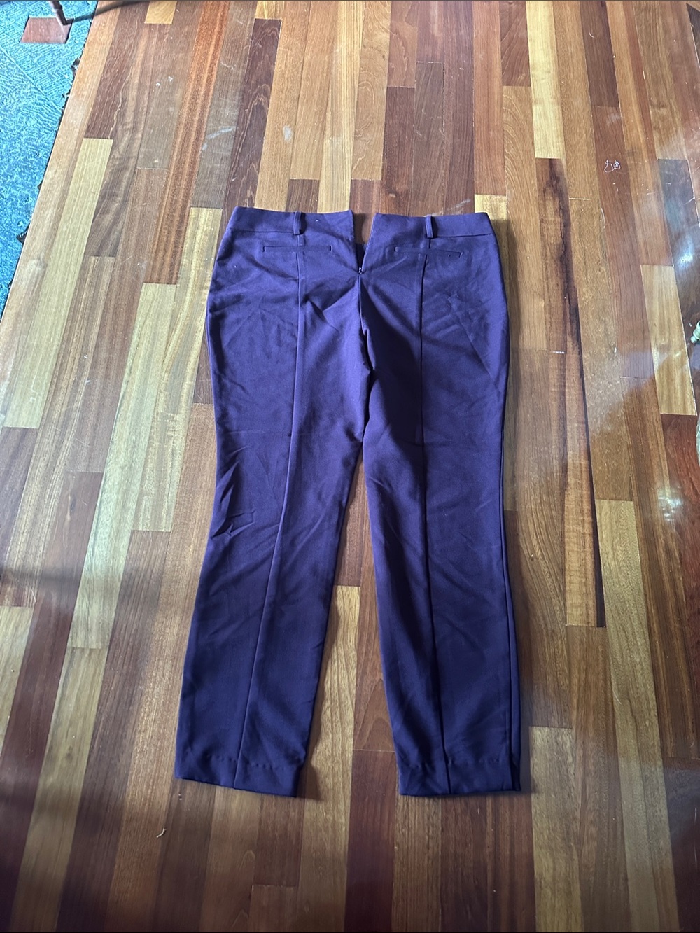 WomenDress Pants in Dark Plum